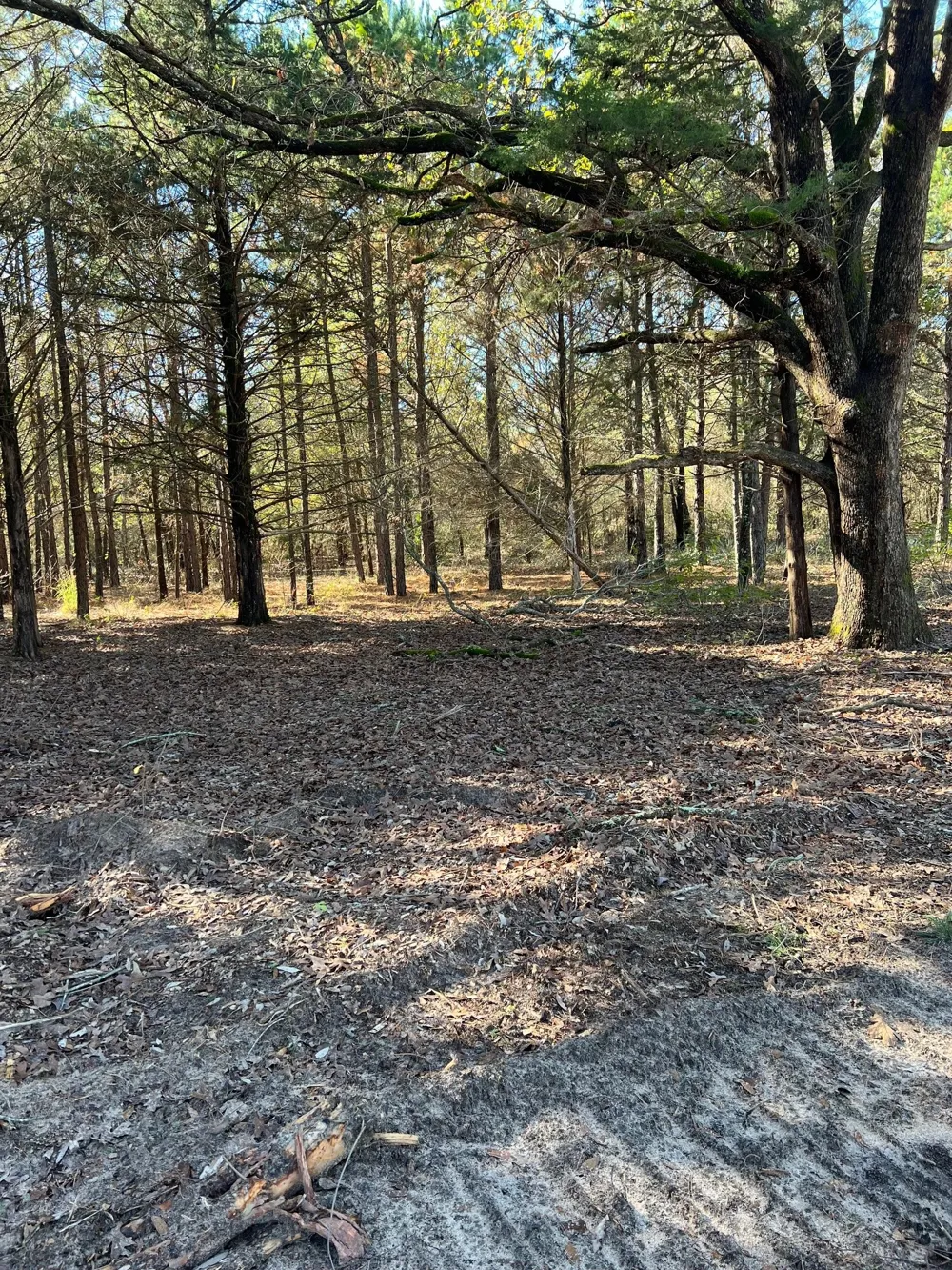 19417 Fm 1804 Lindale, TX 75771