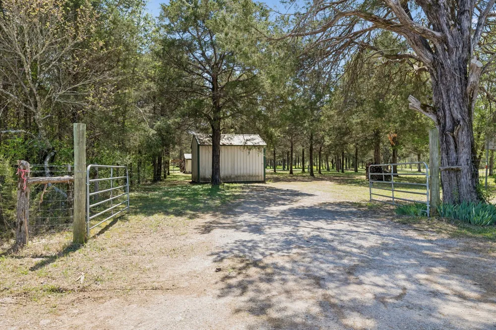 160 Osteen Ln Chapel Hill, TN 37034