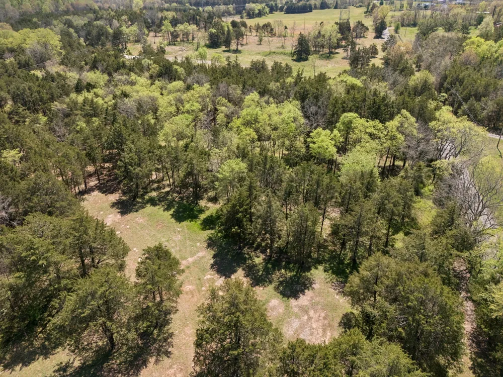 160 Osteen Ln Chapel Hill, TN 37034