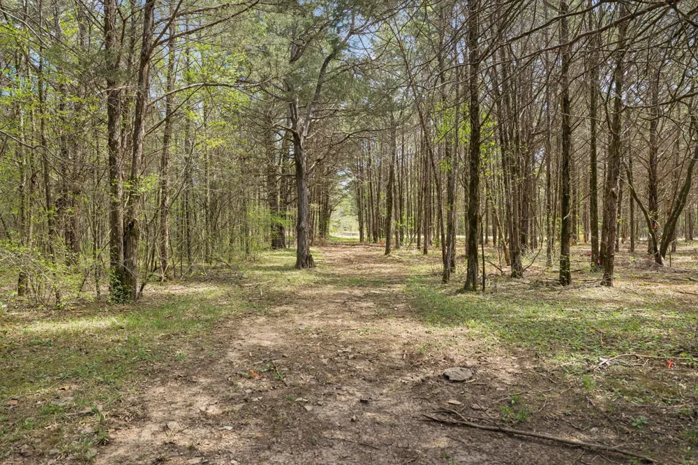 160 Osteen Ln Chapel Hill, TN 37034