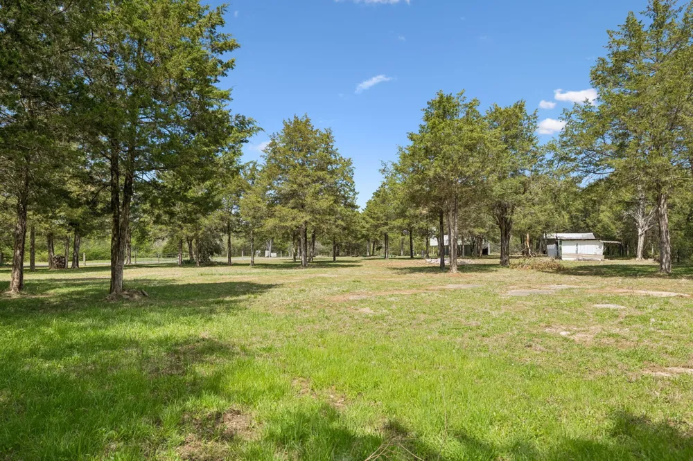 160 Osteen Ln Chapel Hill, TN 37034