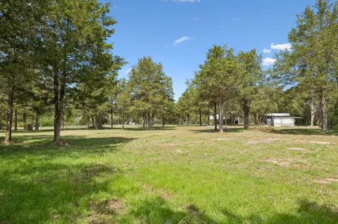 160 Osteen Ln