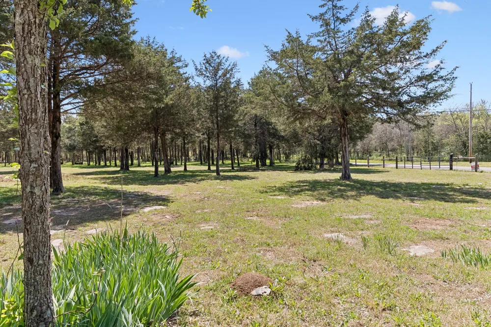 160 Osteen Ln Chapel Hill, TN 37034