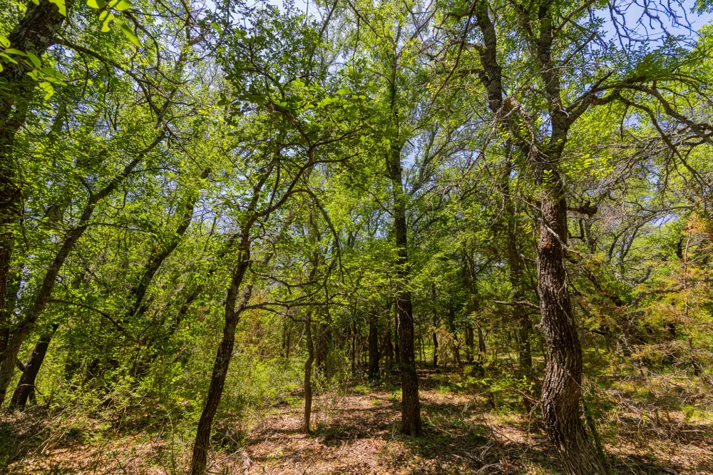 County Road 180 72 ac Road Purmela, TX 76566