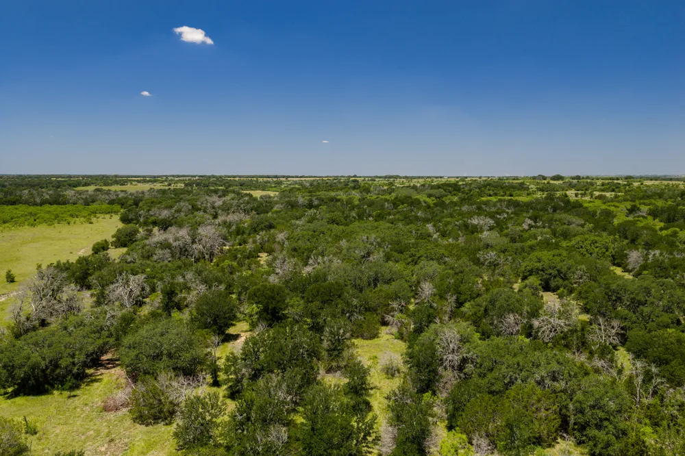 County Road 180 72 ac Road Purmela, TX 76566
