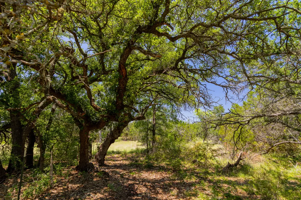 County Road 180 72 ac Road Purmela, TX 76566