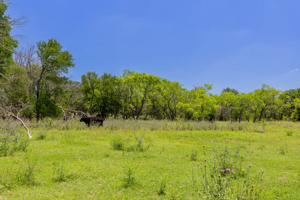 County Road 180 72 ac Road Purmela, TX 76566