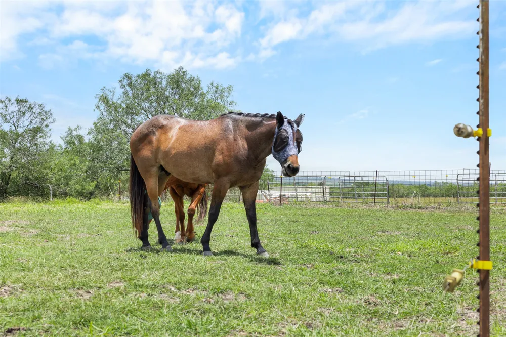 1190 Dickerson Road Lockhart, TX 78644