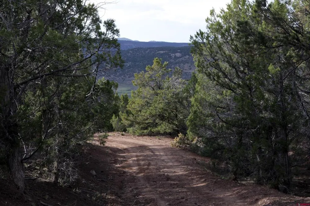 102 550 Highway Ridgway, CO 81403