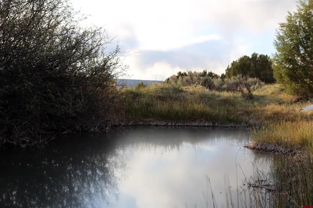 102 550 Highway Ridgway, CO 81403