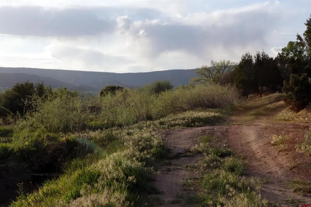 102 550 Highway Ridgway, CO 81403