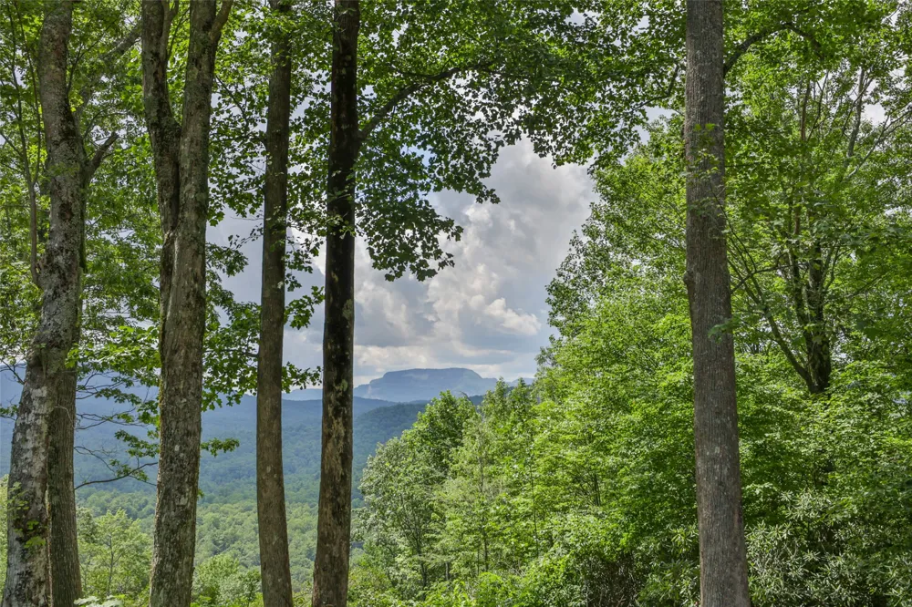 3 whitewater ridge road Sapphire, NC 28774