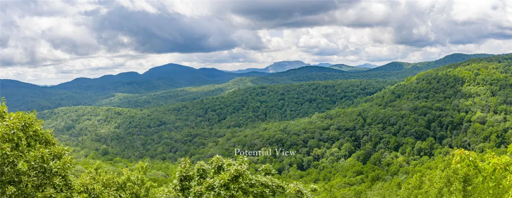 3 whitewater ridge road Sapphire, NC 28774