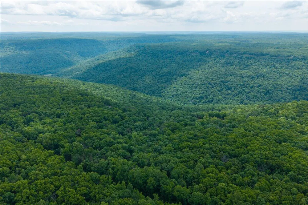 1517 Laurel Lake Dr Drive Monteagle, TN 37356
