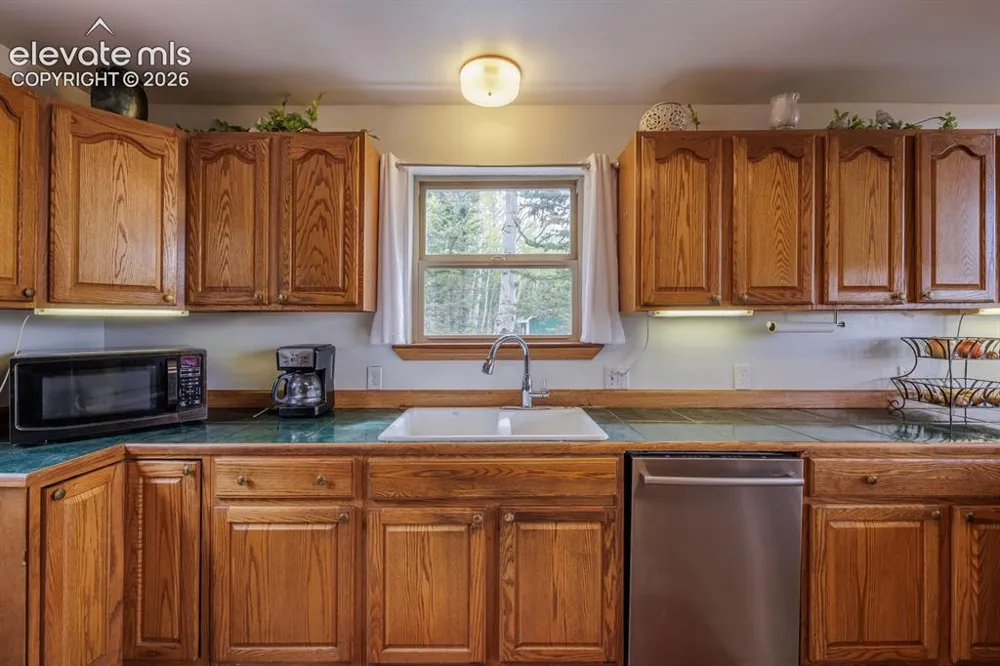 124 Bear Trail Lake George, CO 80827