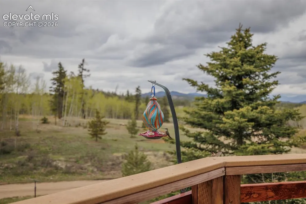 124 Bear Trail Lake George, CO 80827
