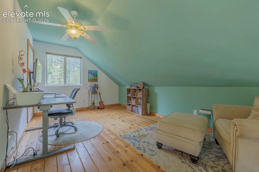 124 Bear Trail Lake George, CO 80827