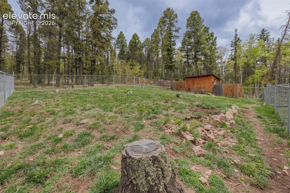124 Bear Trail Lake George, CO 80827