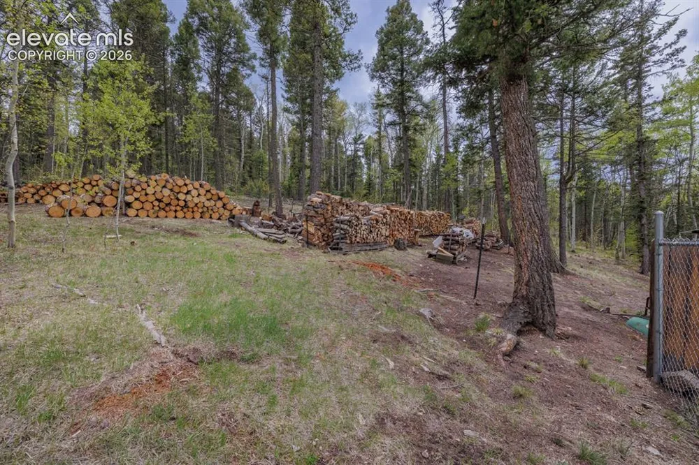 124 Bear Trail Lake George, CO 80827