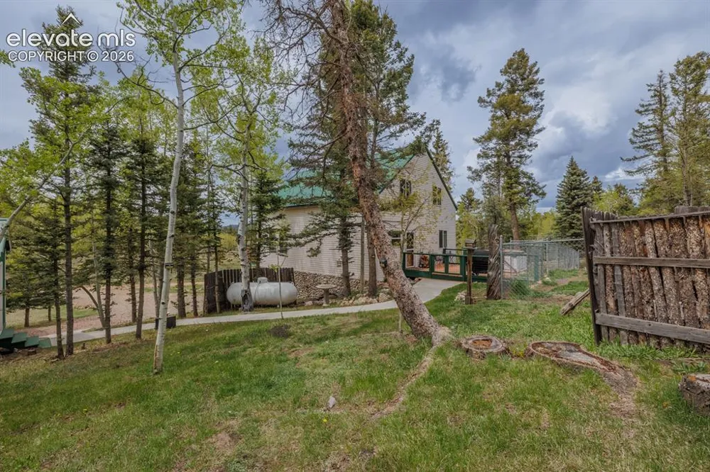 124 Bear Trail Lake George, CO 80827