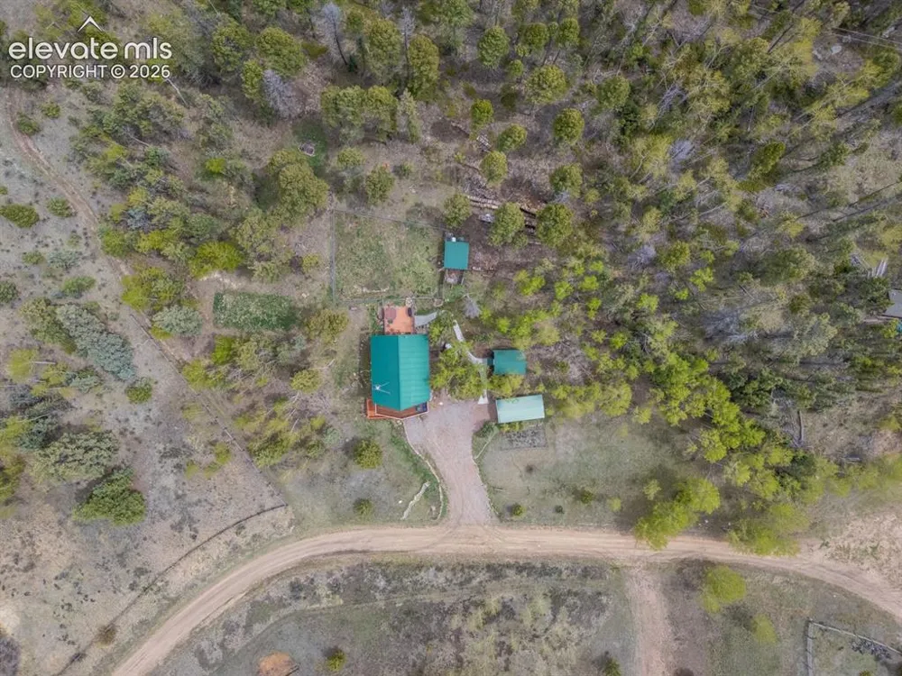 124 Bear Trail Lake George, CO 80827