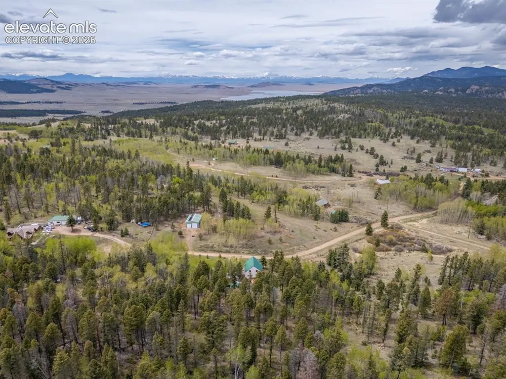 124 Bear Trail Lake George, CO 80827