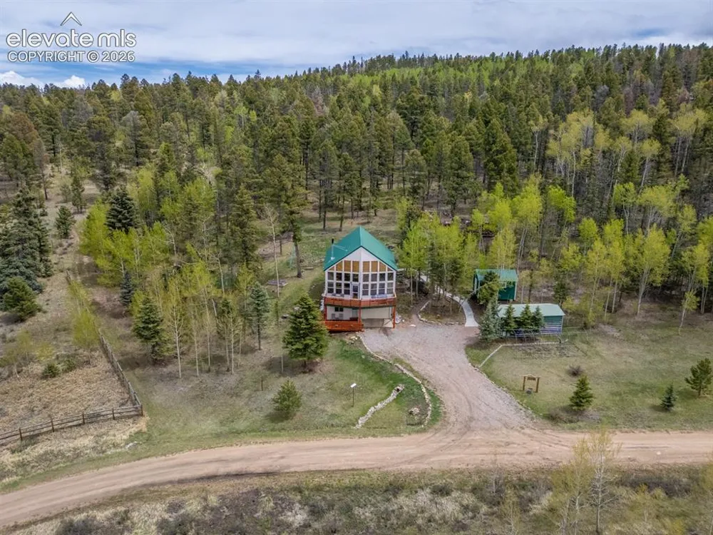 124 Bear Trail Lake George, CO 80827