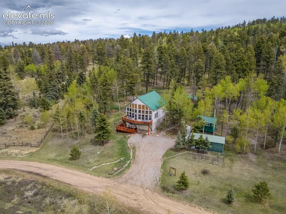 124 Bear Trail Lake George, CO 80827