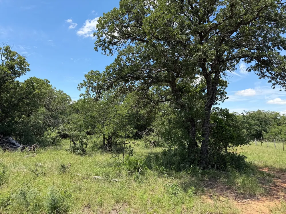 Rux Road Newcastle, TX 76372