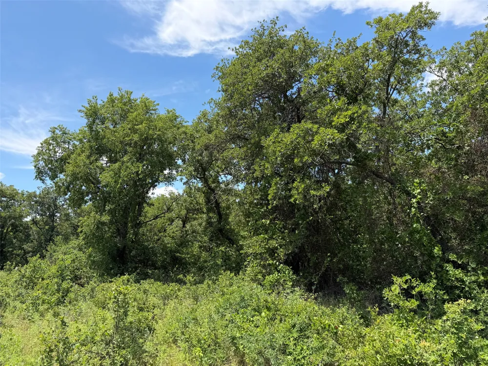 Rux Road Newcastle, TX 76372