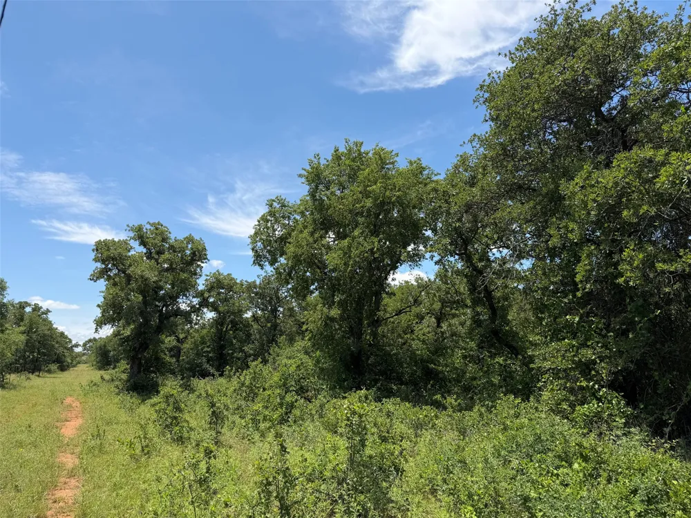 Rux Road Newcastle, TX 76372