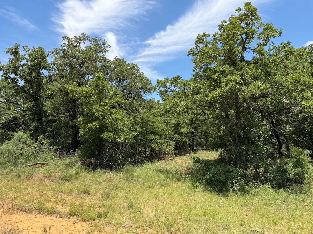 Rux Road Newcastle, TX 76372