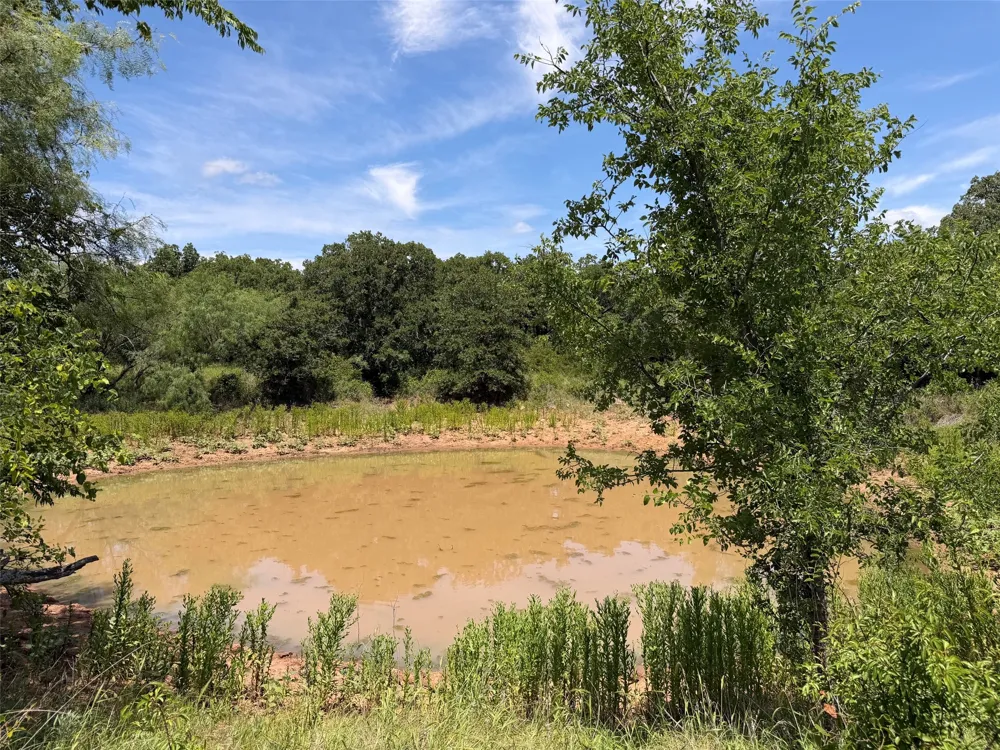 Rux Road Newcastle, TX 76372