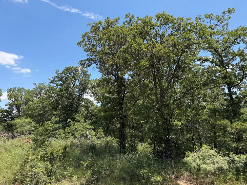 Rux Road Newcastle, TX 76372