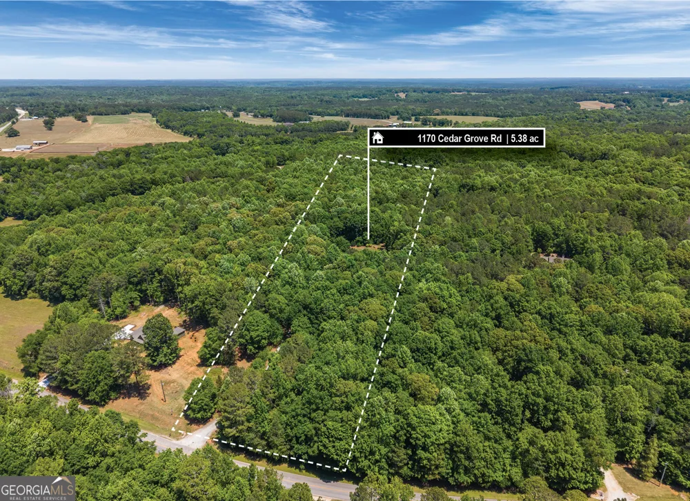 1170 Cedar Grove RD Buckhead, GA 30625