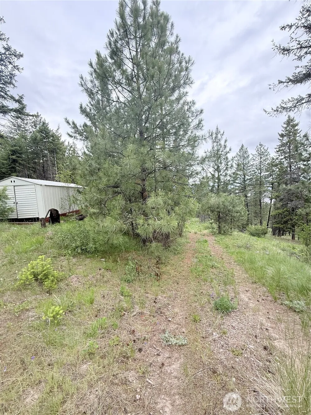 0 TBD Broken Spoke Road Tonasket, WA 98855