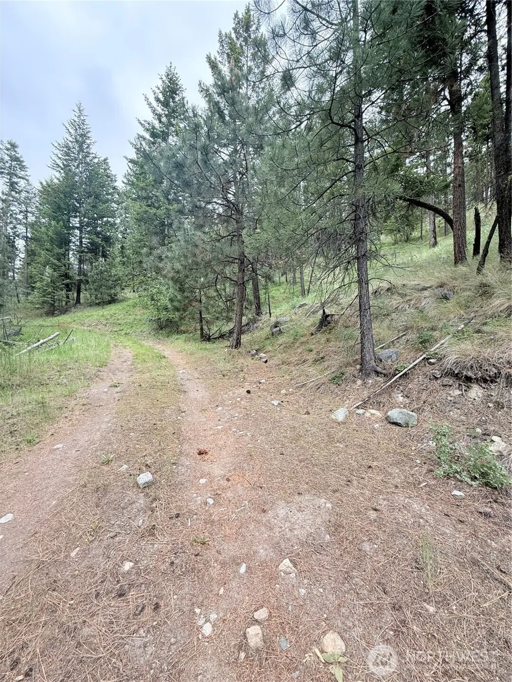 0 TBD Broken Spoke Road Tonasket, WA 98855
