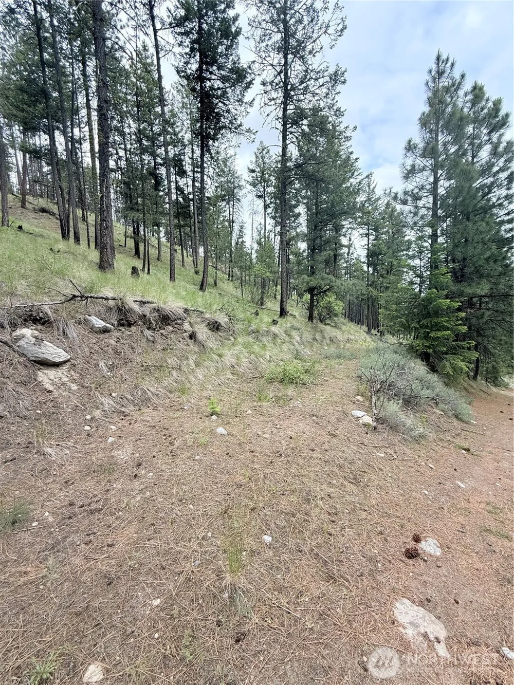 0 TBD Broken Spoke Road Tonasket, WA 98855