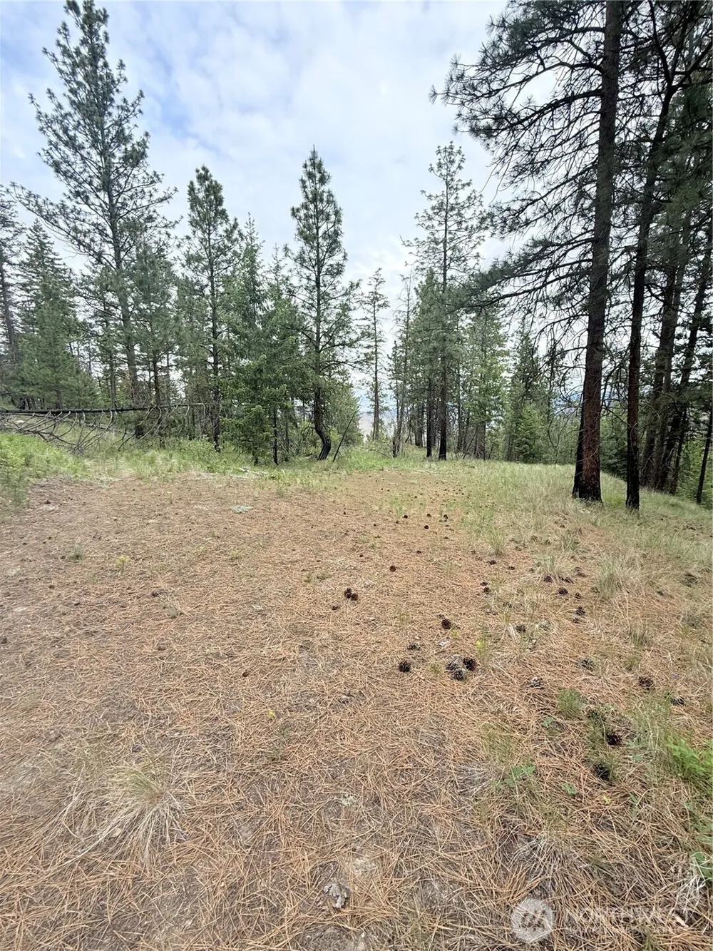 0 TBD Broken Spoke Road Tonasket, WA 98855