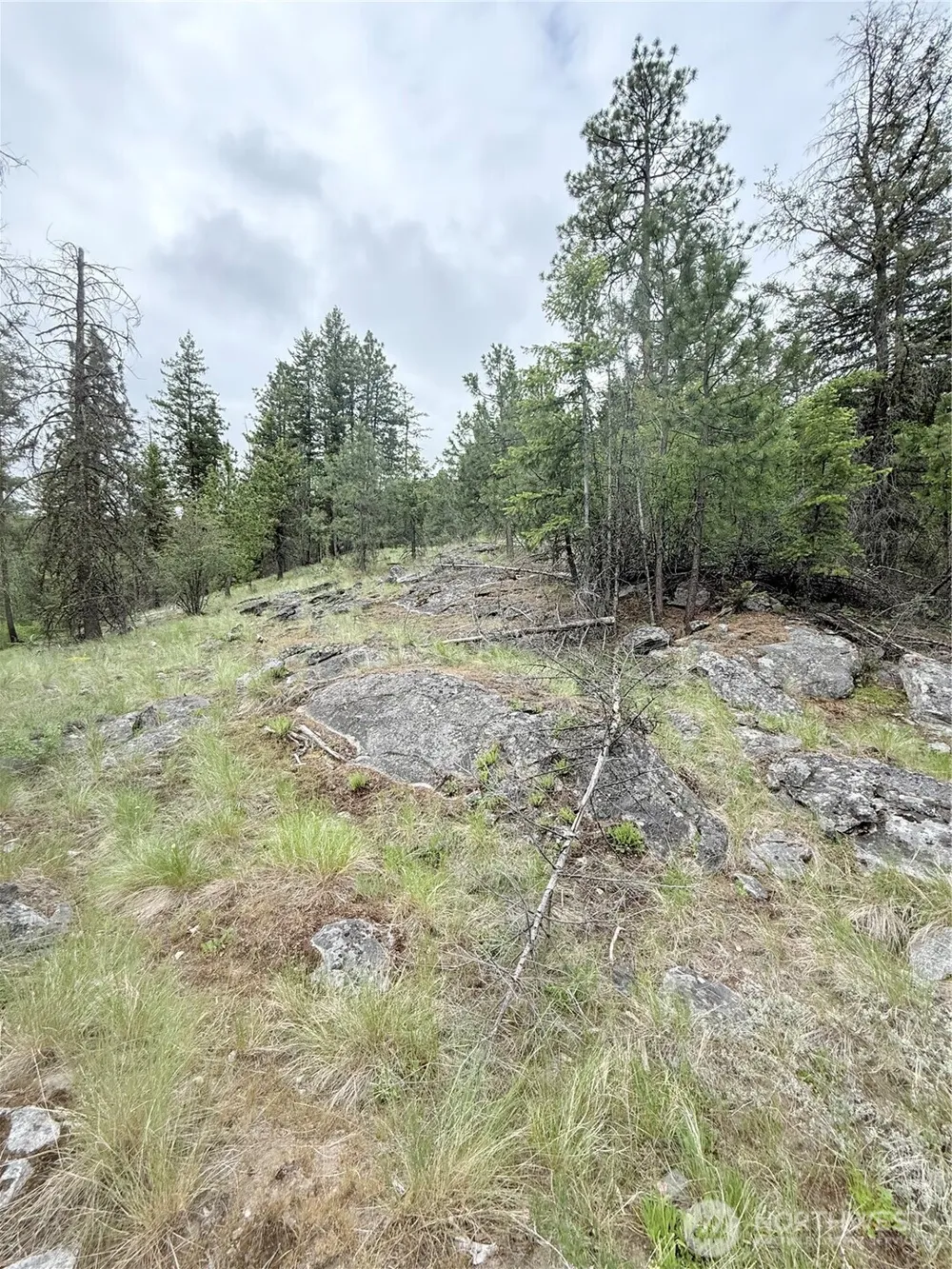 0 TBD Broken Spoke Road Tonasket, WA 98855