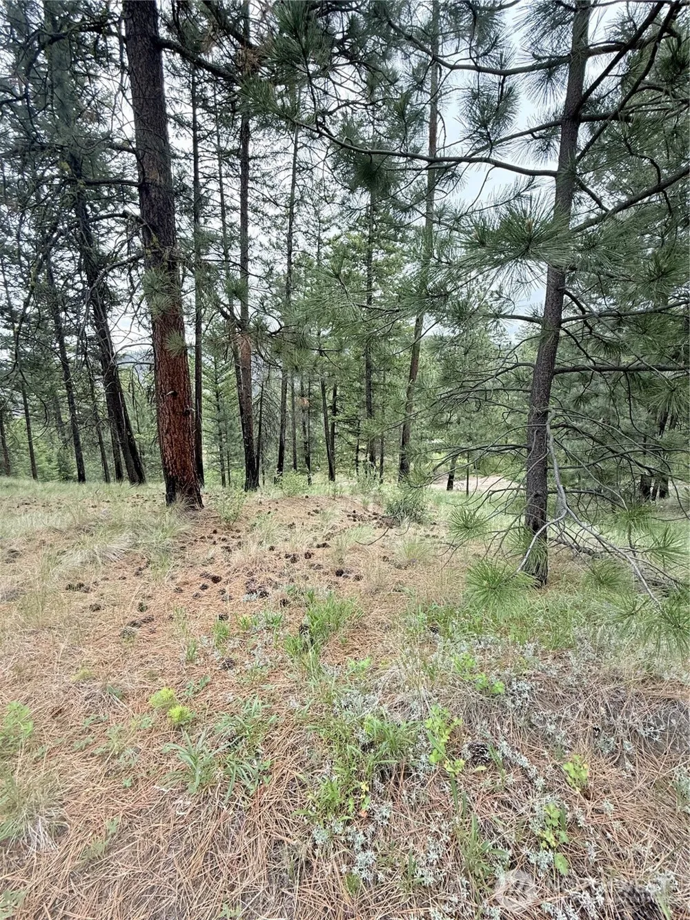0 TBD Broken Spoke Road Tonasket, WA 98855