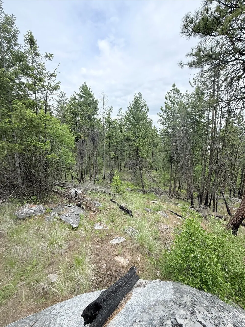 0 TBD Broken Spoke Road Tonasket, WA 98855