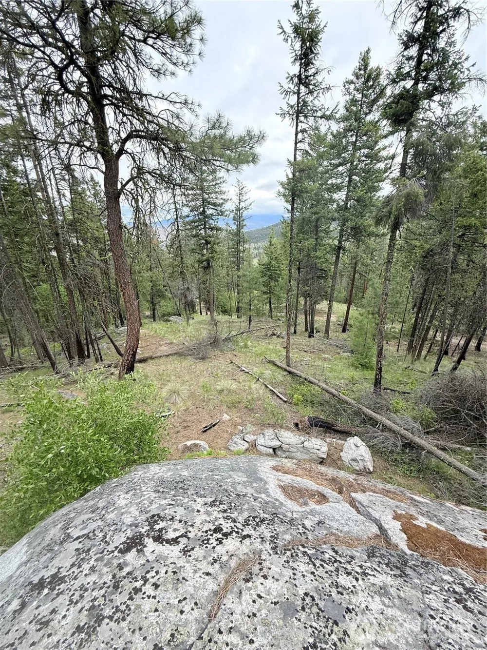 0 TBD Broken Spoke Road Tonasket, WA 98855