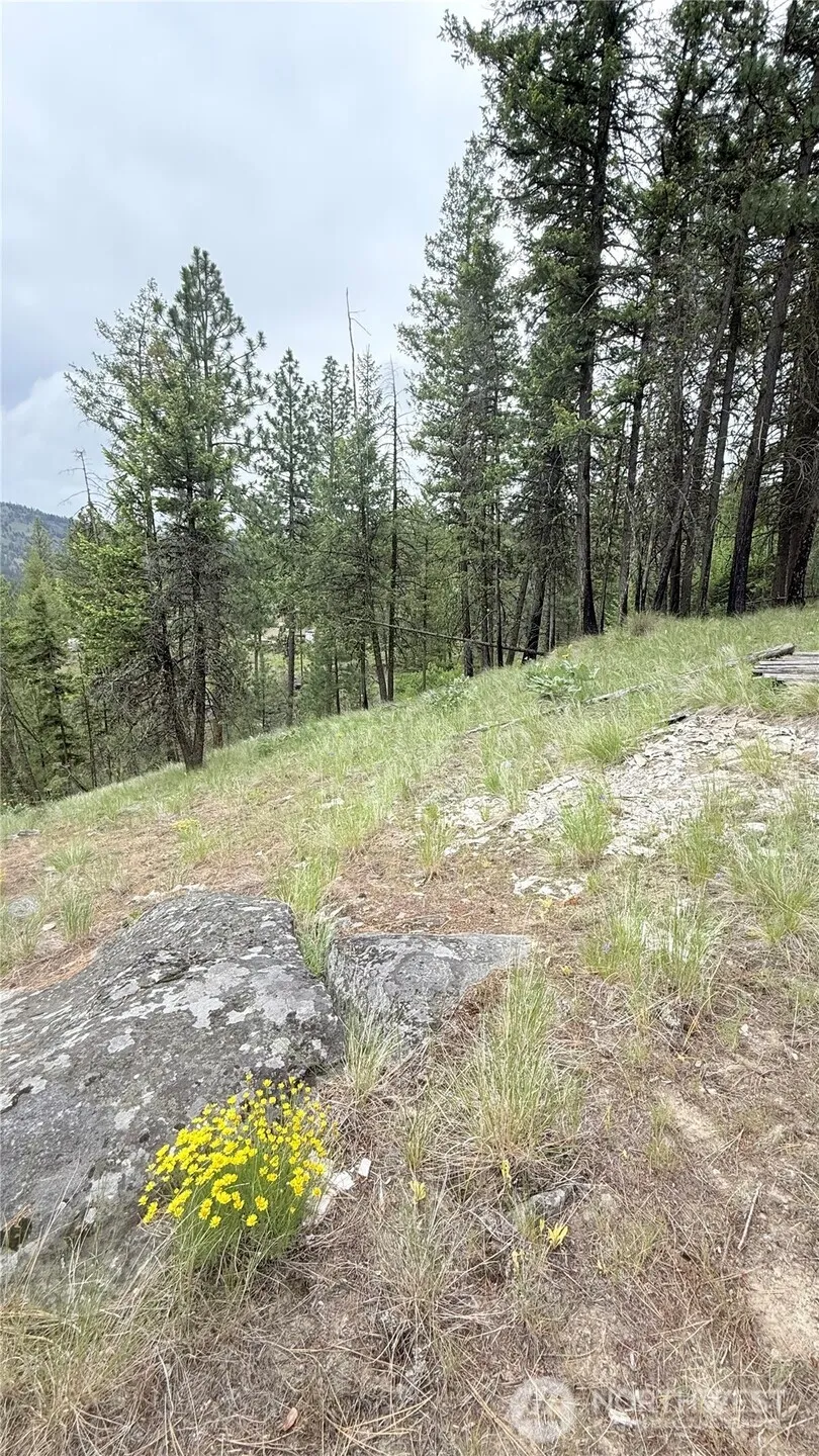 0 TBD Broken Spoke Road Tonasket, WA 98855