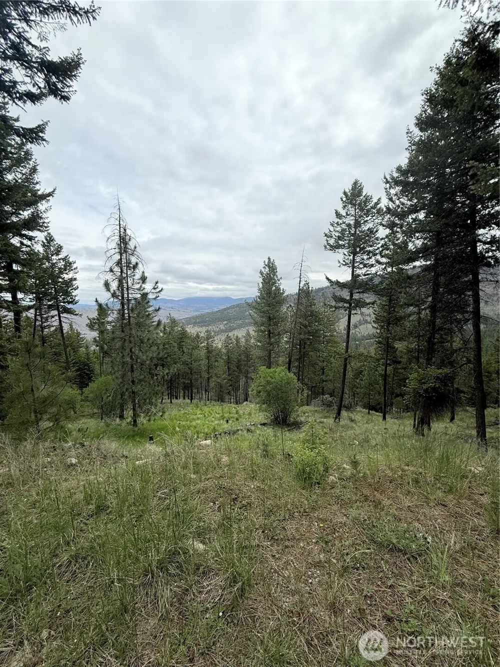 0 TBD Broken Spoke Road Tonasket, WA 98855