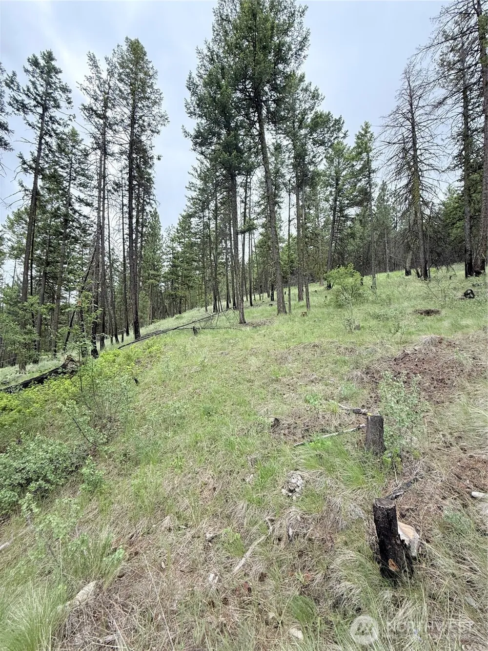 0 TBD Broken Spoke Road Tonasket, WA 98855