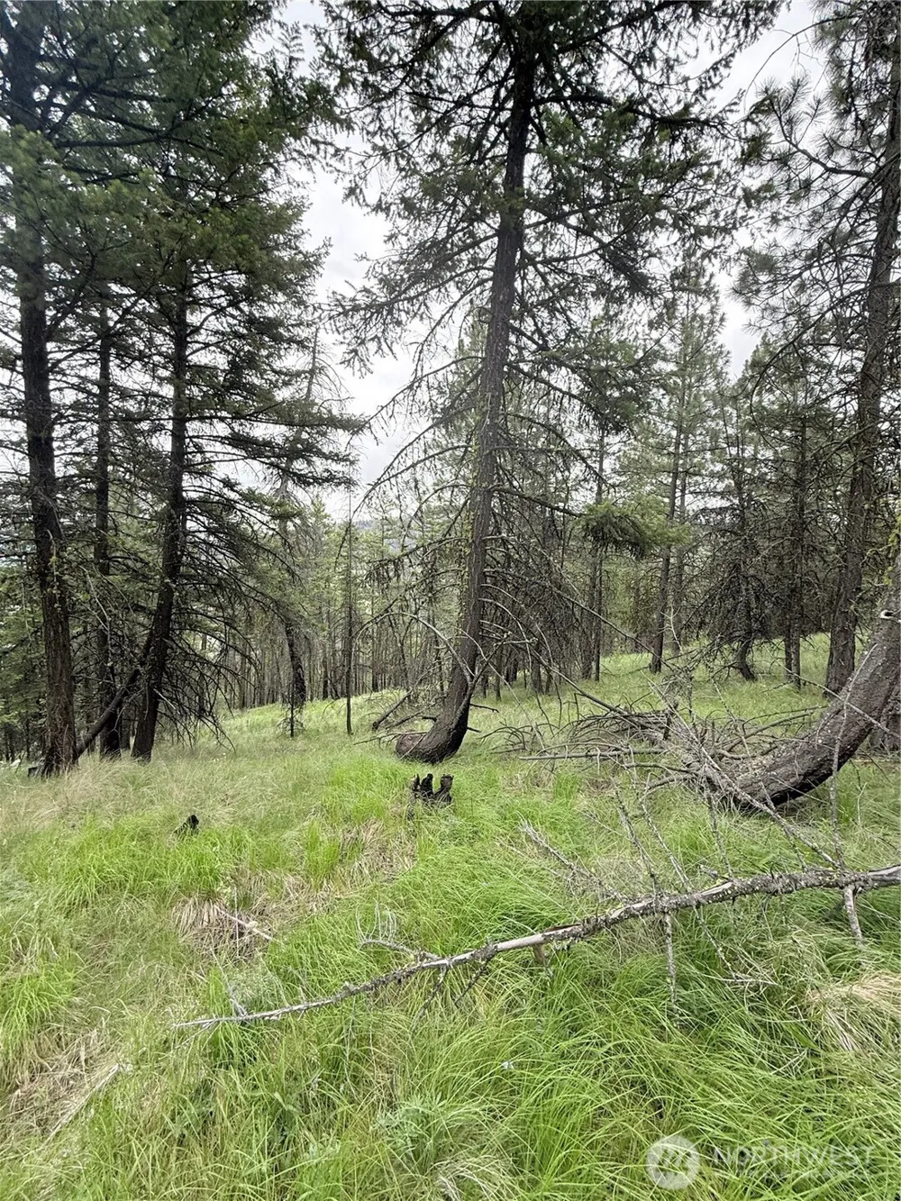 0 TBD Broken Spoke Road Tonasket, WA 98855