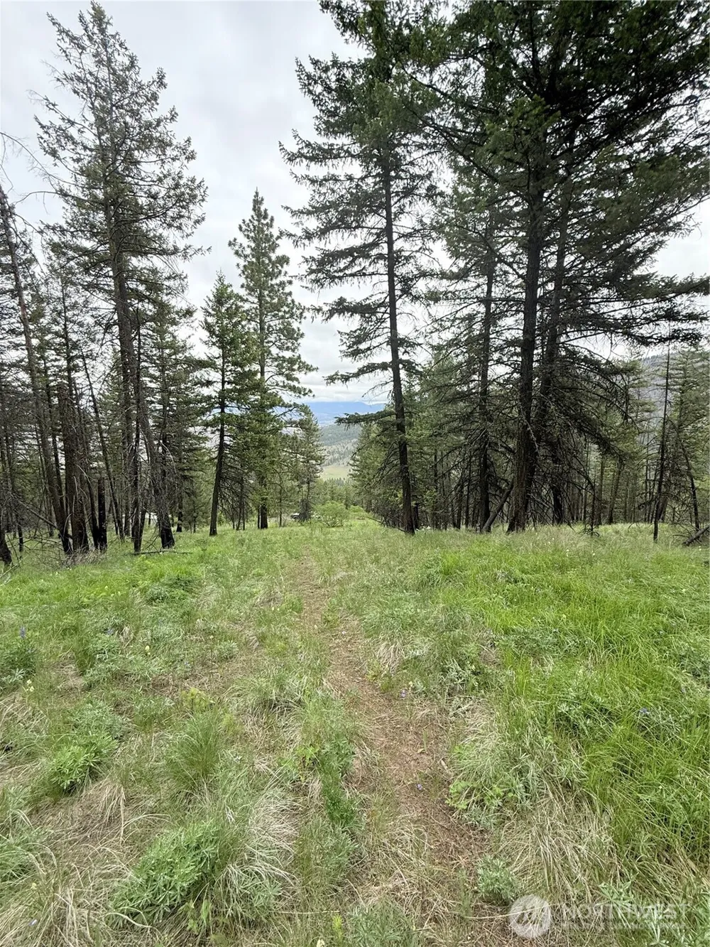 0 TBD Broken Spoke Road Tonasket, WA 98855