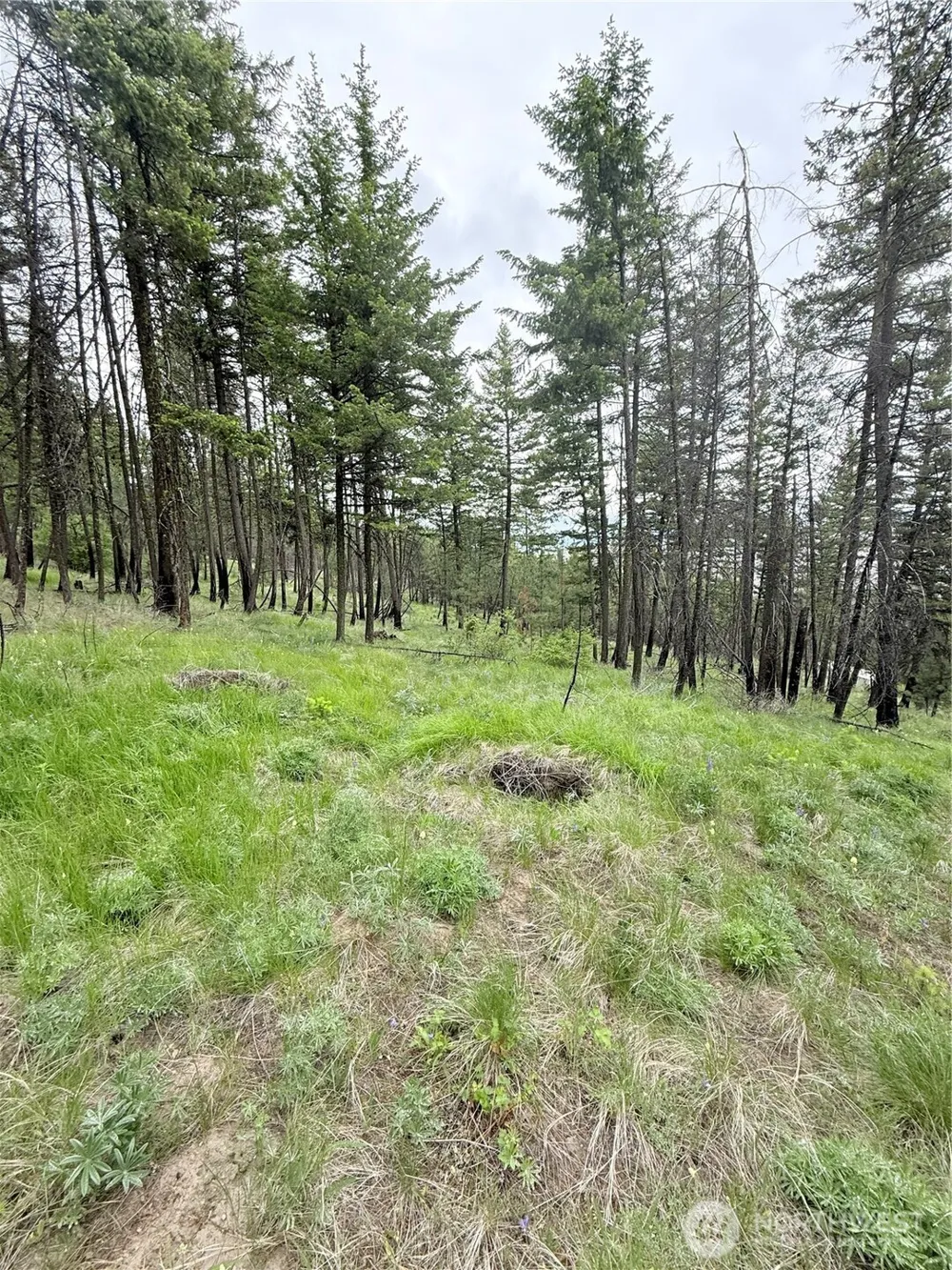 0 TBD Broken Spoke Road Tonasket, WA 98855