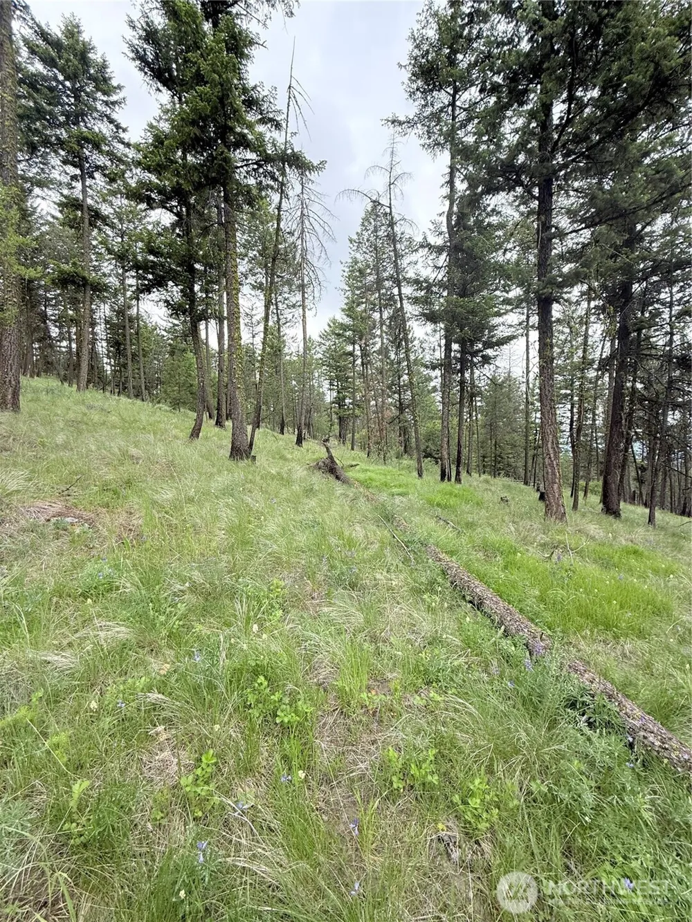 0 TBD Broken Spoke Road Tonasket, WA 98855